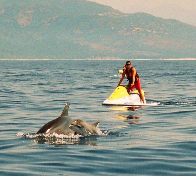 Entdecken Sie die Tierwelt im Süden Korsikas mit einem Quad Jet Pro Jet Ski 